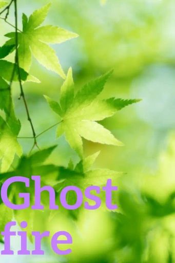 Ghost fire (Global) (PC) - Steam - Digital Key