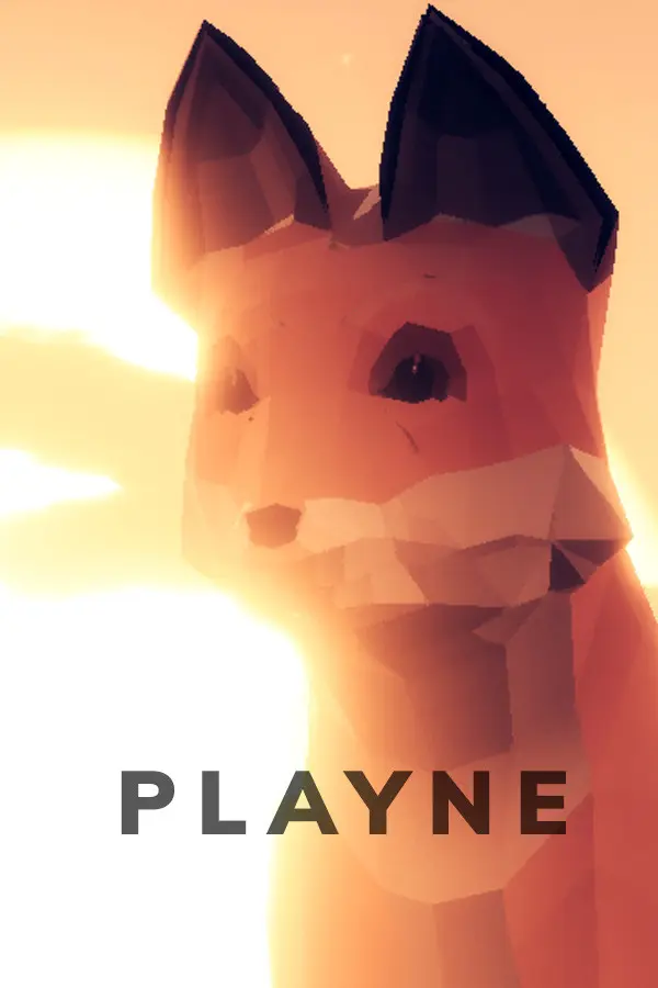 PLAYNE : The Meditation Game (PC) - Steam - Digital Code