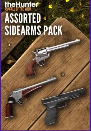 theHunter Call of the Wild - Assorted Sidearms Pack DLC (Europe) (PC) - Steam - Digital Key