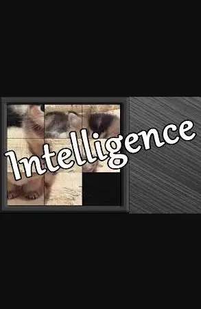 Intelligence