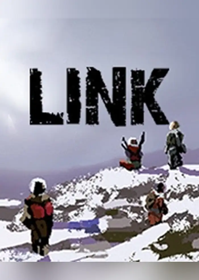 Link (Global) (PC) - Steam - Digital Key